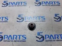 Колпачок маслосъемный впускной 1,6 1,8 2,0 2,3 2,5 купить в Москве