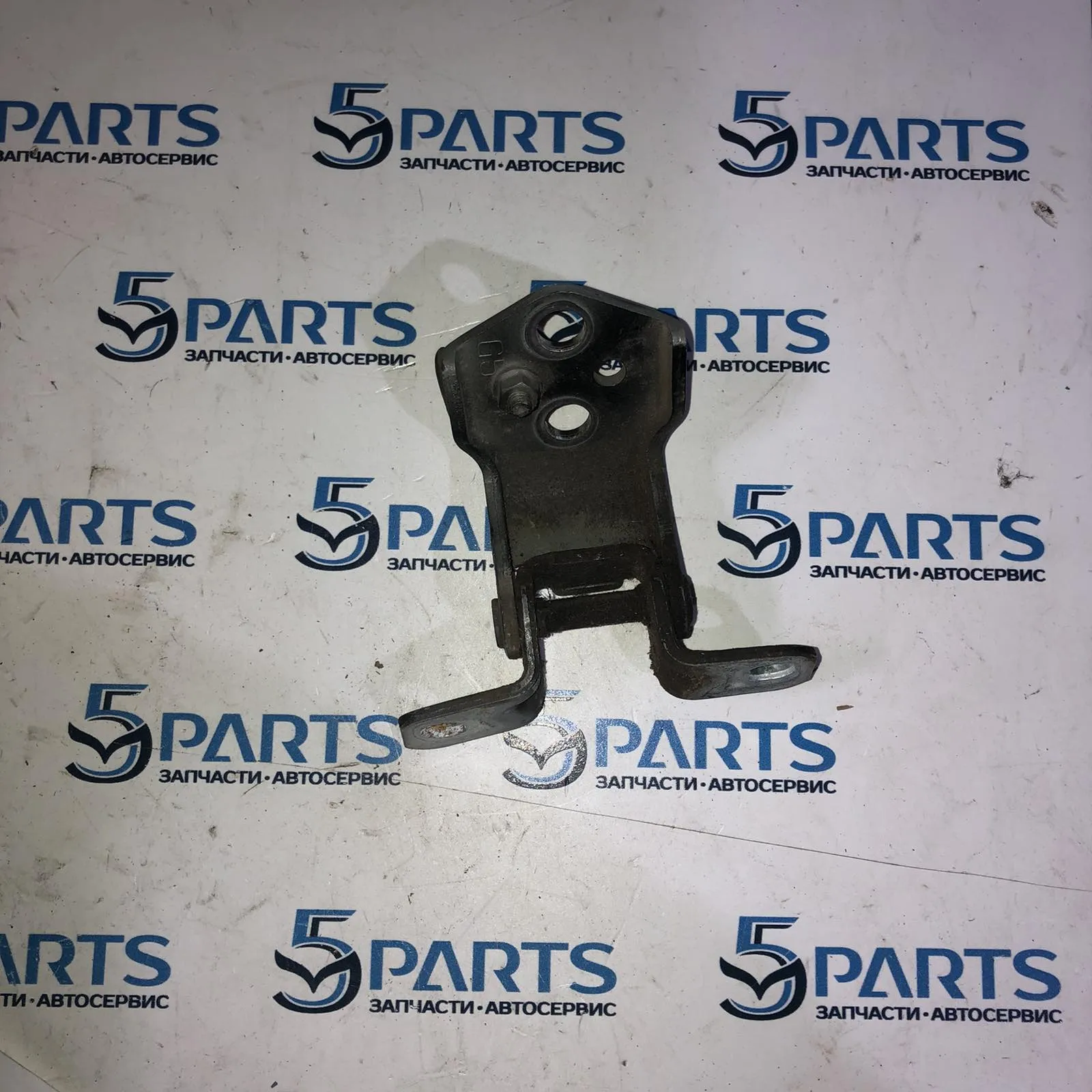 Петля передней двери M6 (GG) 2002-2007