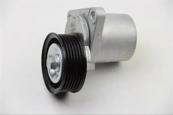 Натяжитель ремня приводного M3, M6, CX-7 купить в Москве