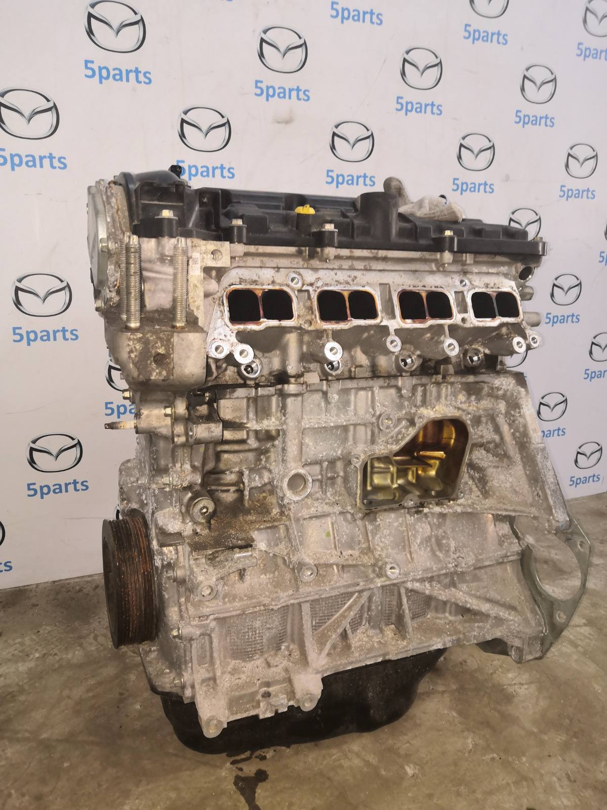 Двигатель M3, M6, CX-5 2.5 (PY)